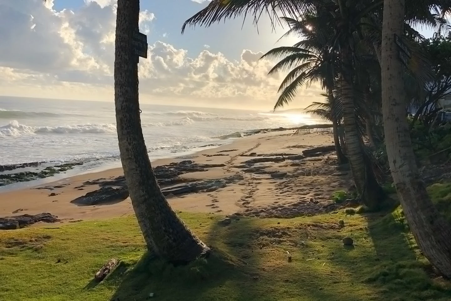 El amanecer desde Kikita Beach, un punto sel surf Boricua.