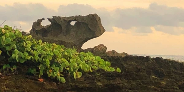 La piedra conocida como El Ojo del Buey, vista casi directamente frontal.